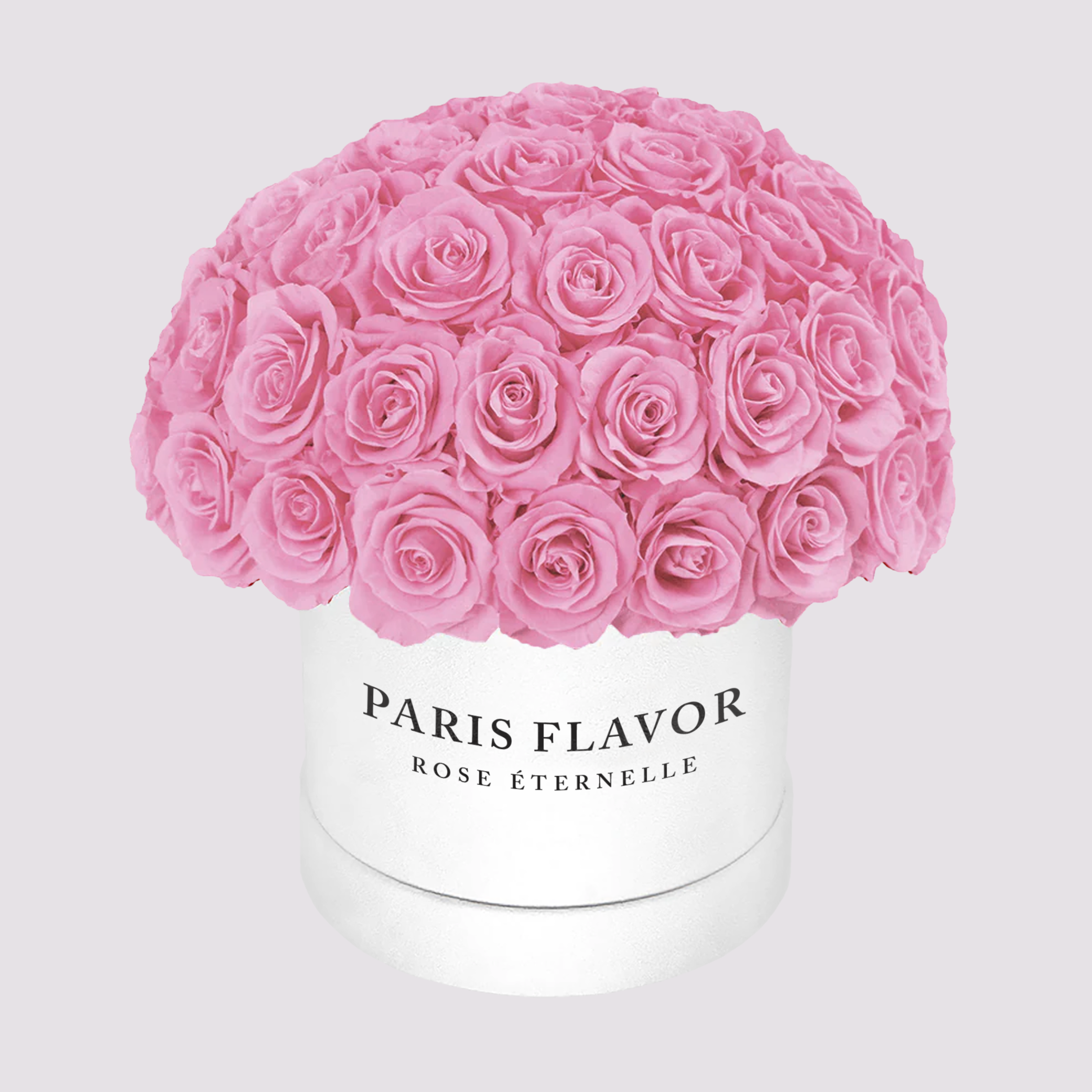 Eternal Roses Dome Medium