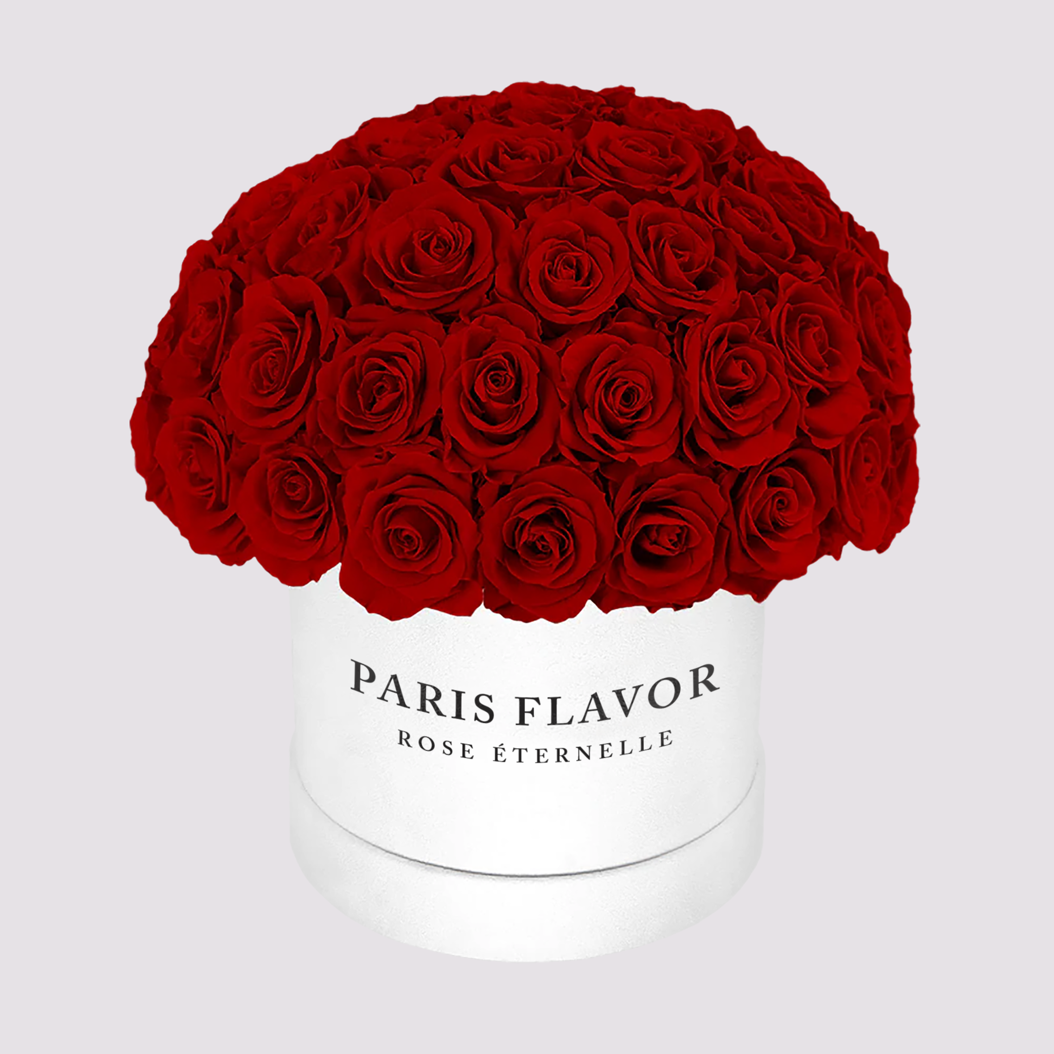Eternal Roses Dome Medium